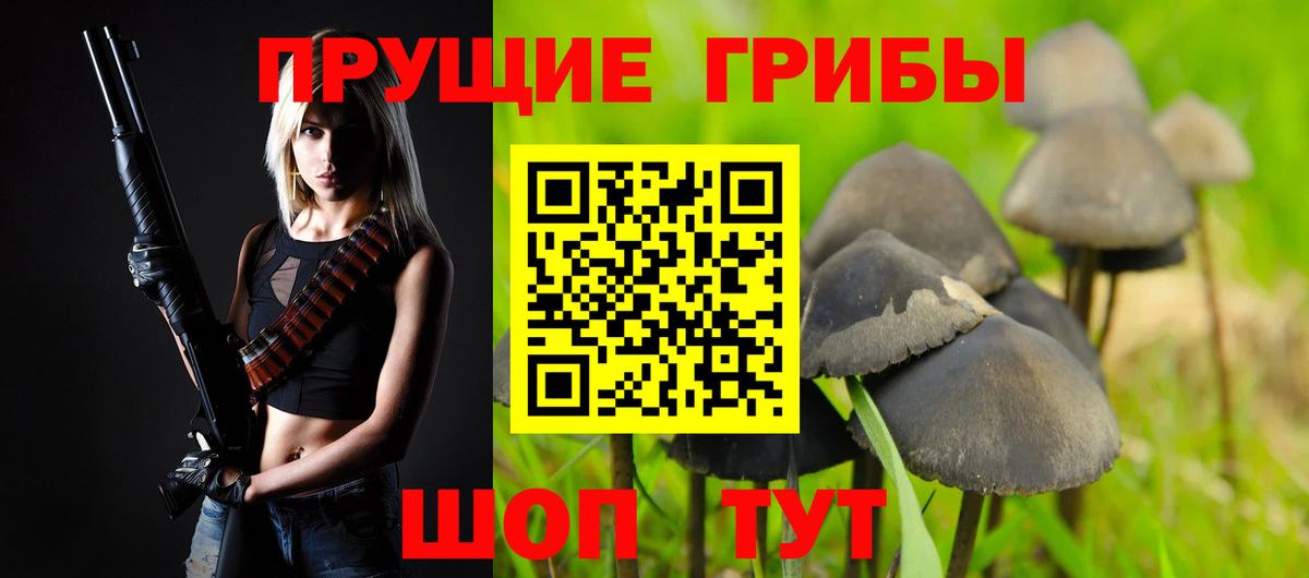 Псилоцибиновые грибы Psilocybine cubensis  Галлюциногенные грибы мицелий  Курганинск  Вход с VPN 
